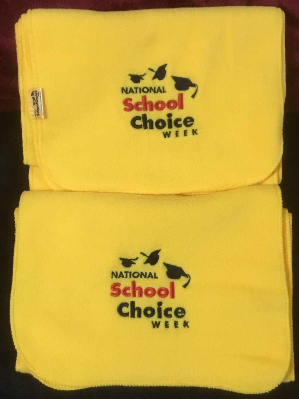 2 Scarfs National School Choice Week (11x 58)